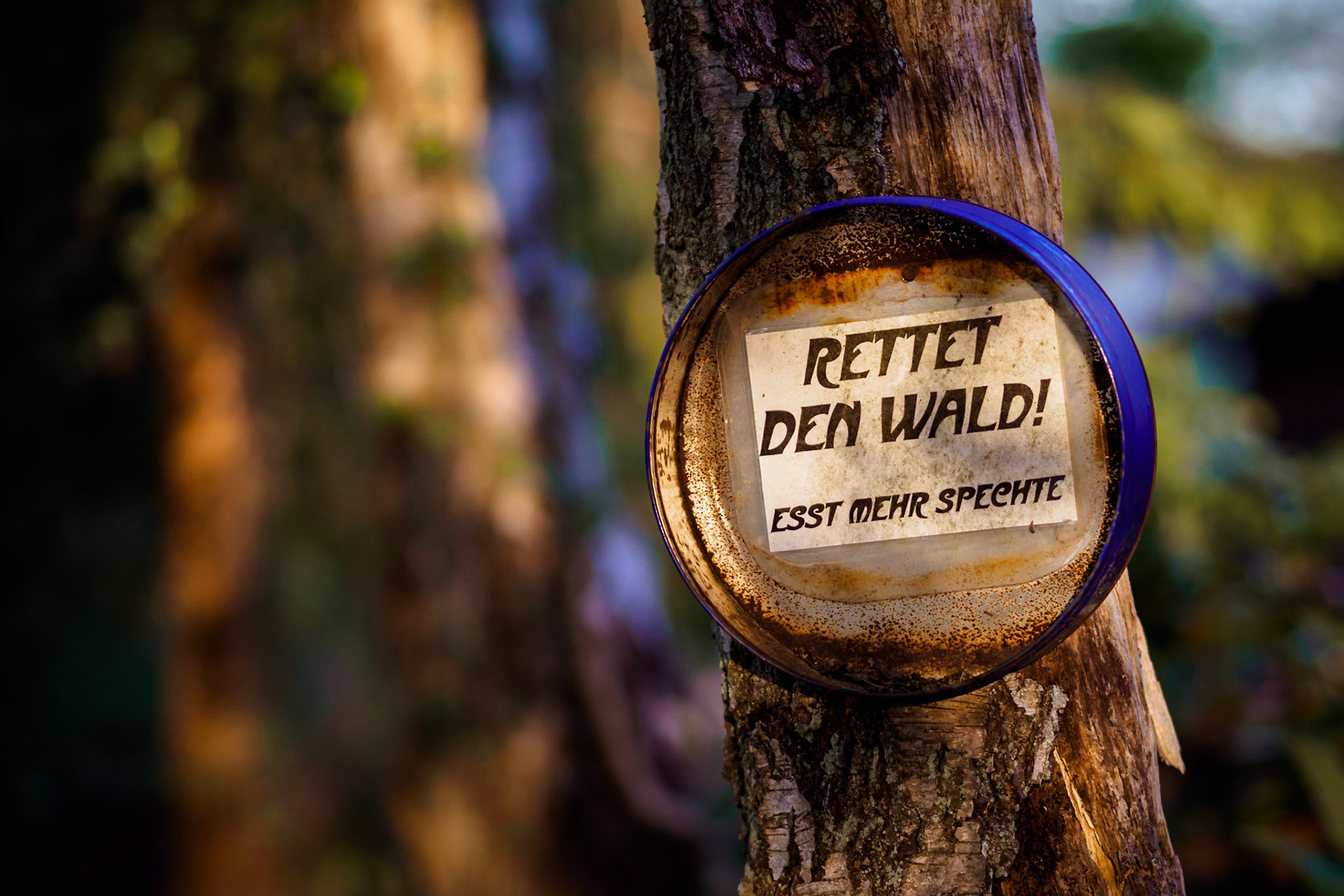 Südheide 2020