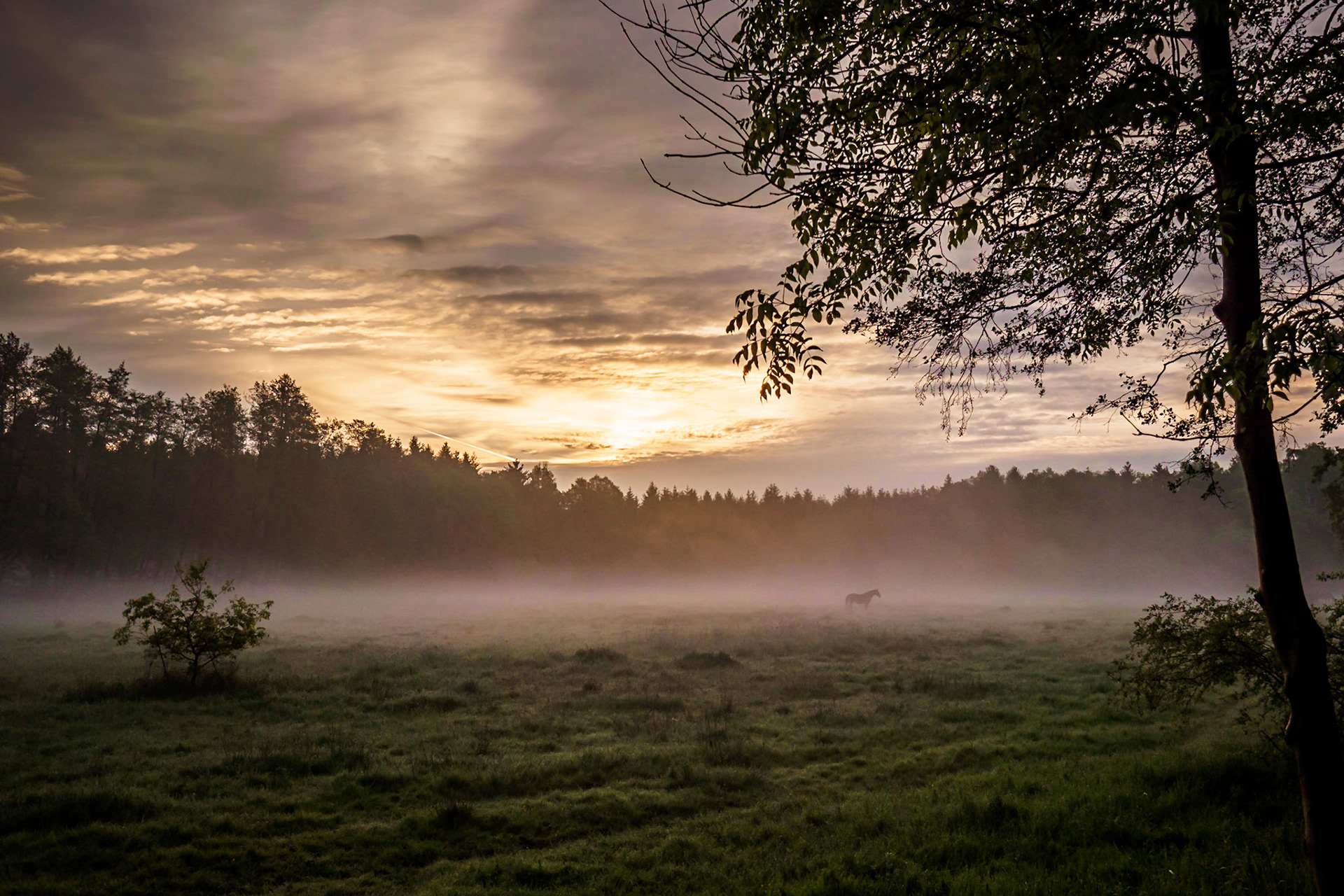 Südheide 2020