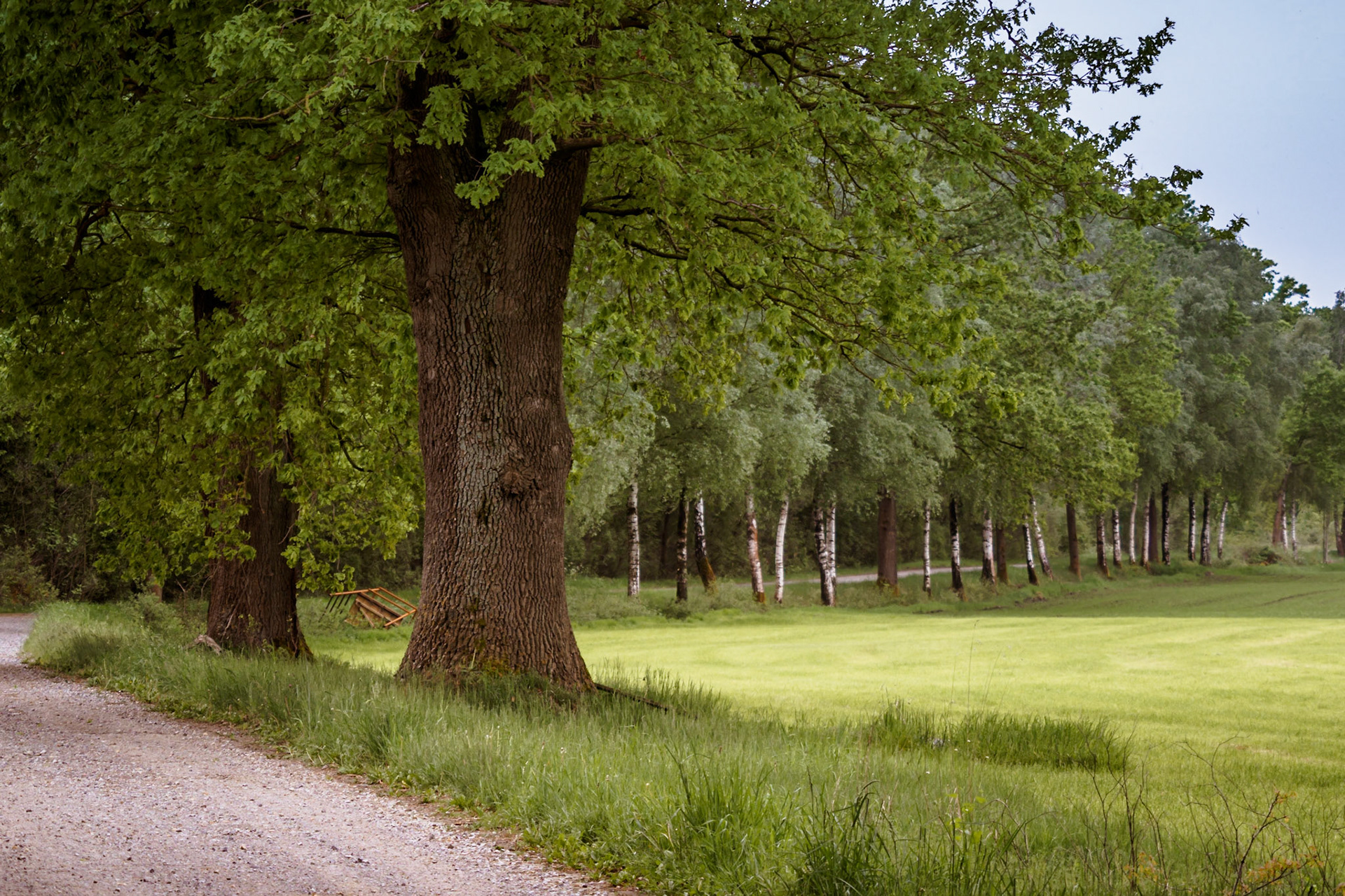 Südheide 2020