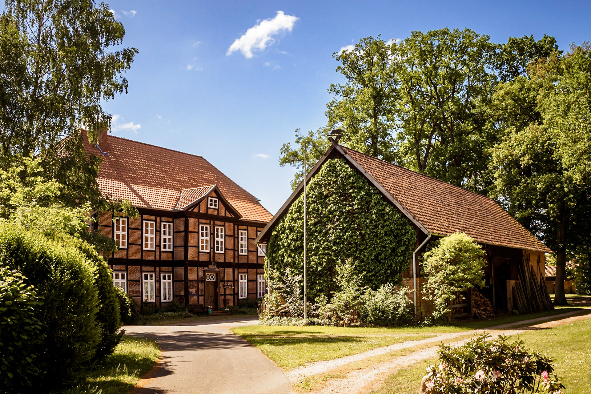 Südheide 2020