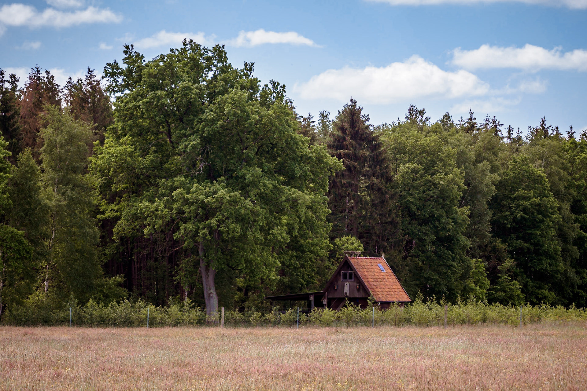 Südheide 2020