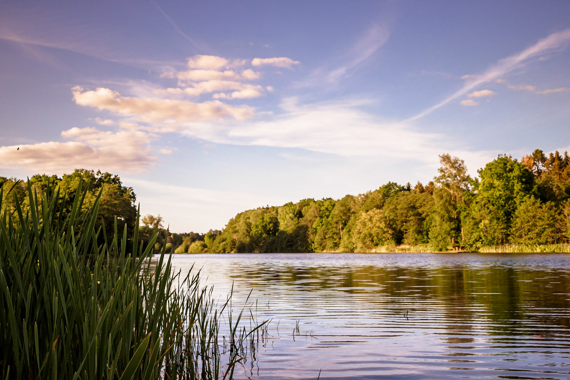Südheide 2020