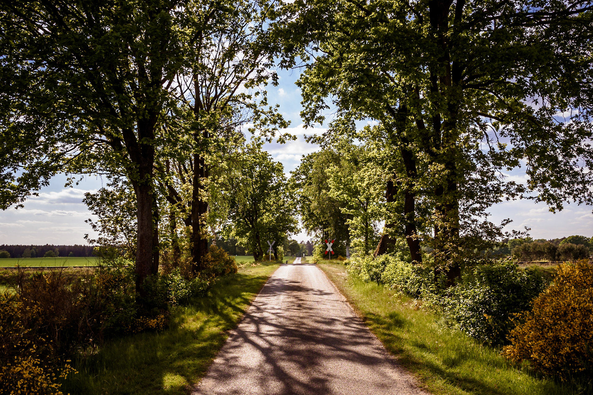 Südheide 2020