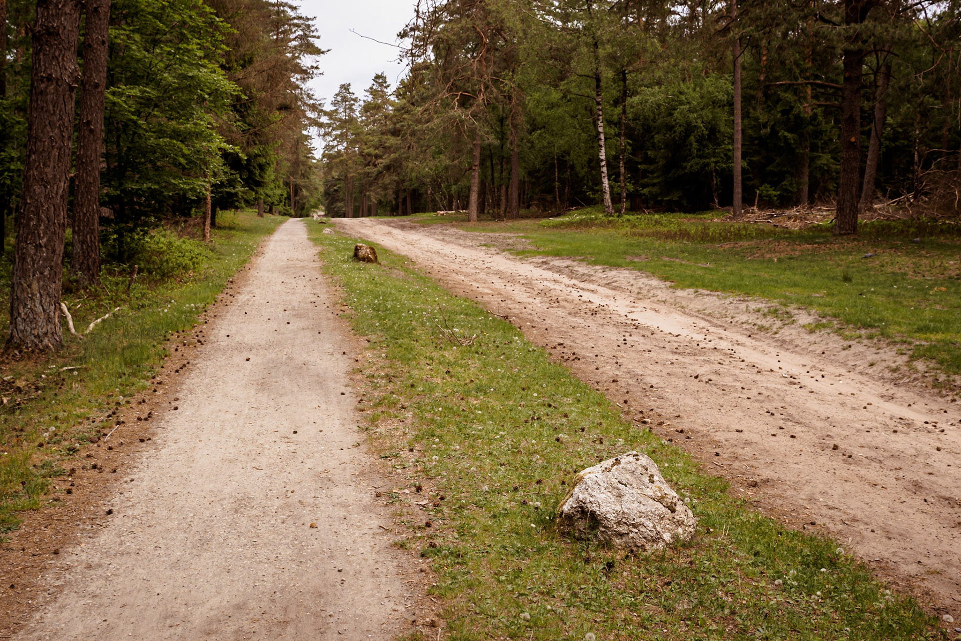Südheide 2020