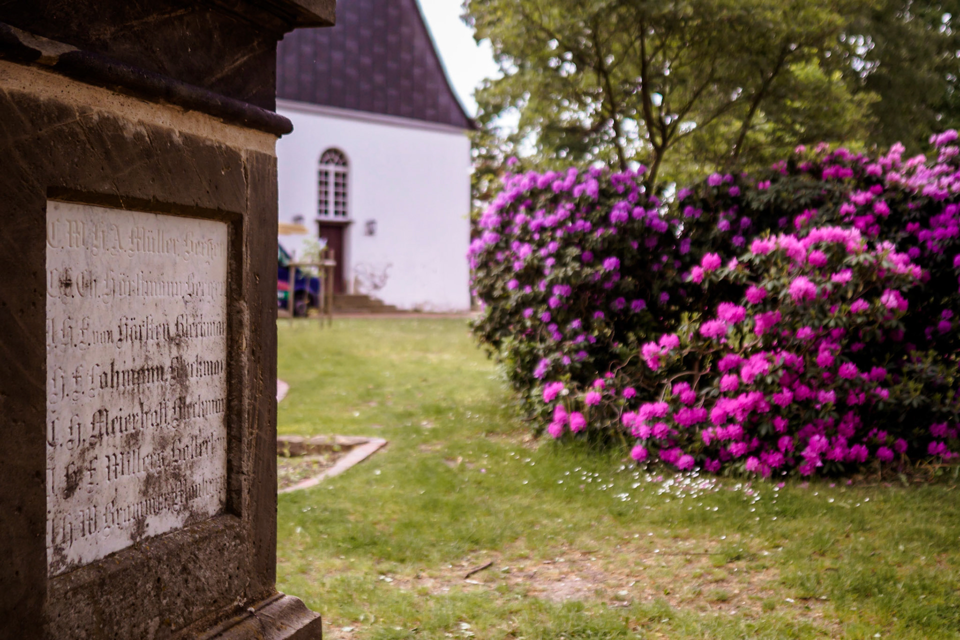 Südheide 2020