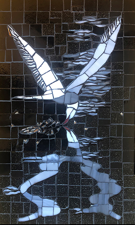 BIRD REFLECTIONS