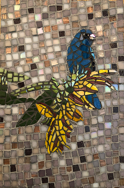 BLUE BIRD on SUNFLOWER