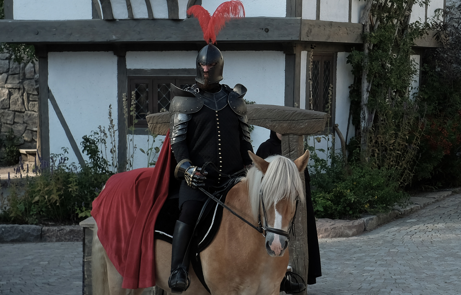 Bröderna Lejonhjärta | 2019