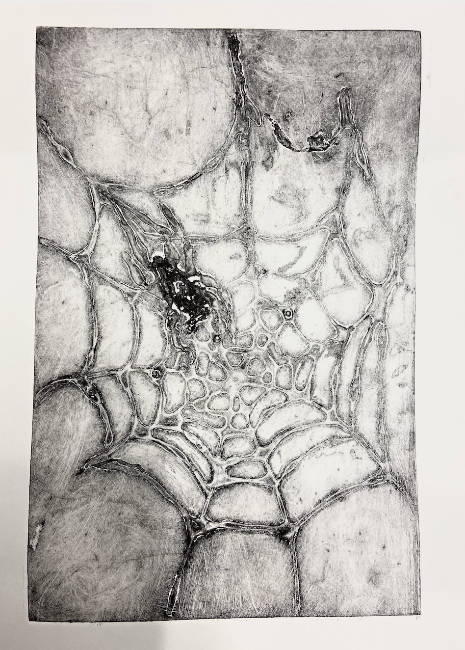 Crawl (2023) Intaglio/diepdruk print, oplage 2/2