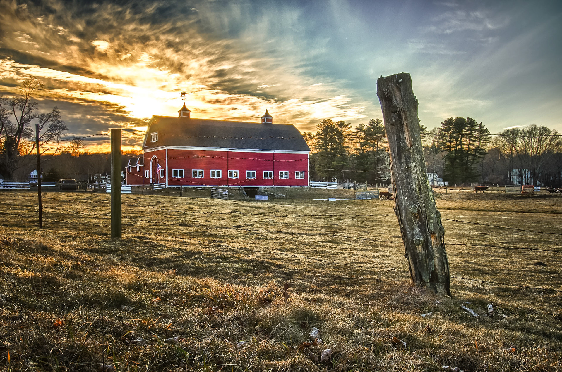 Farm in Wellesley, MA