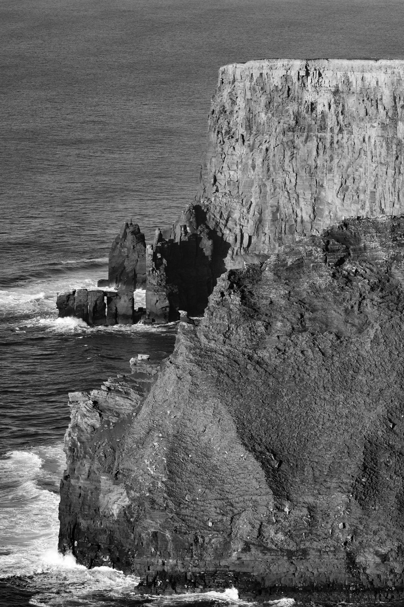 f/5.0   100mm   1/1250s   ISO 320