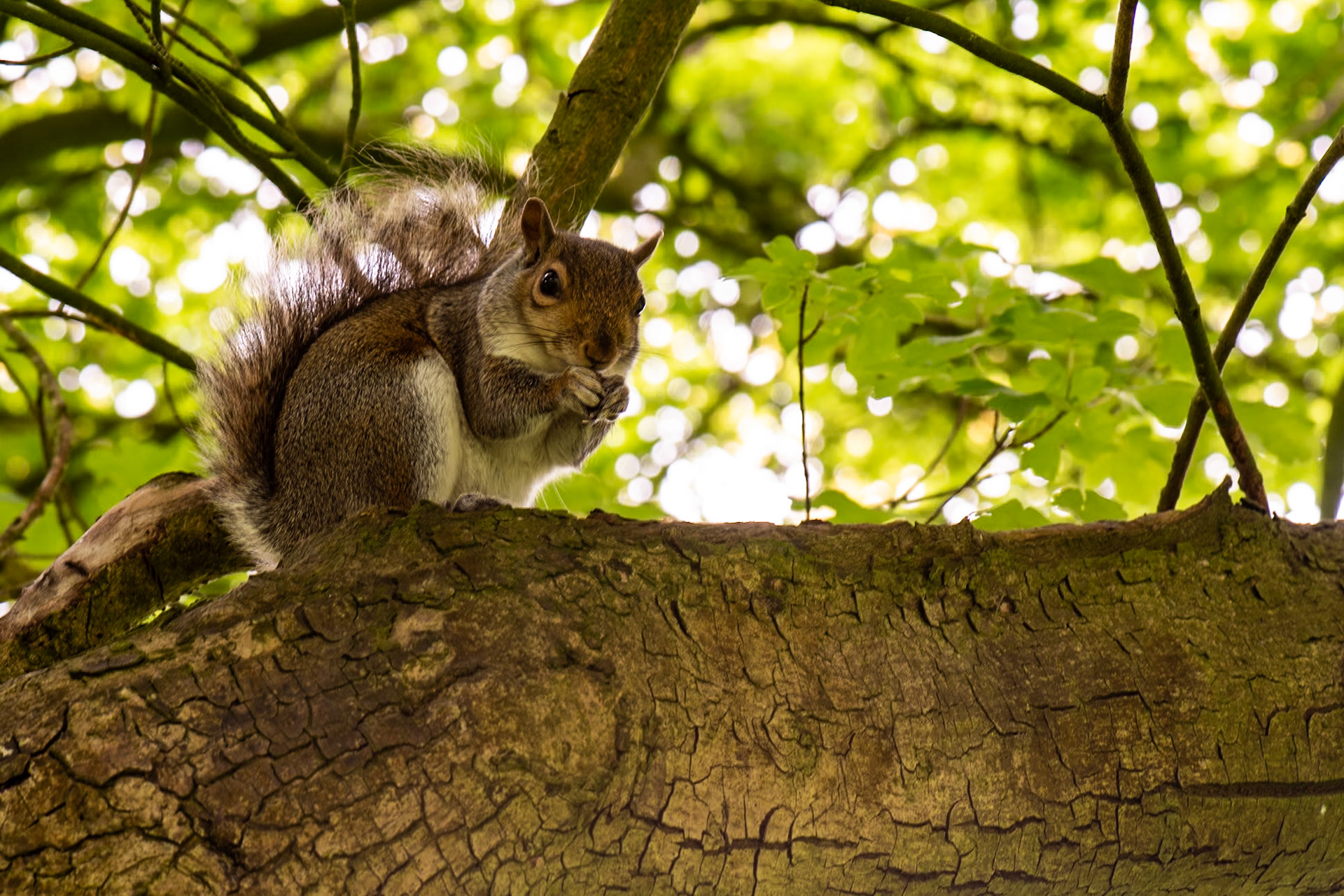 in Botanic Gardens, Dublin.