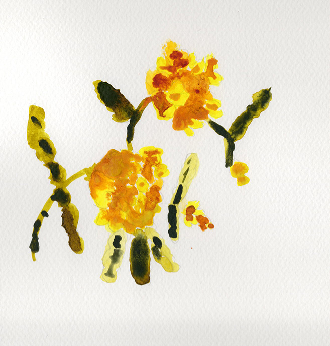 Loosly based on yellow snapdragon, watercolor.