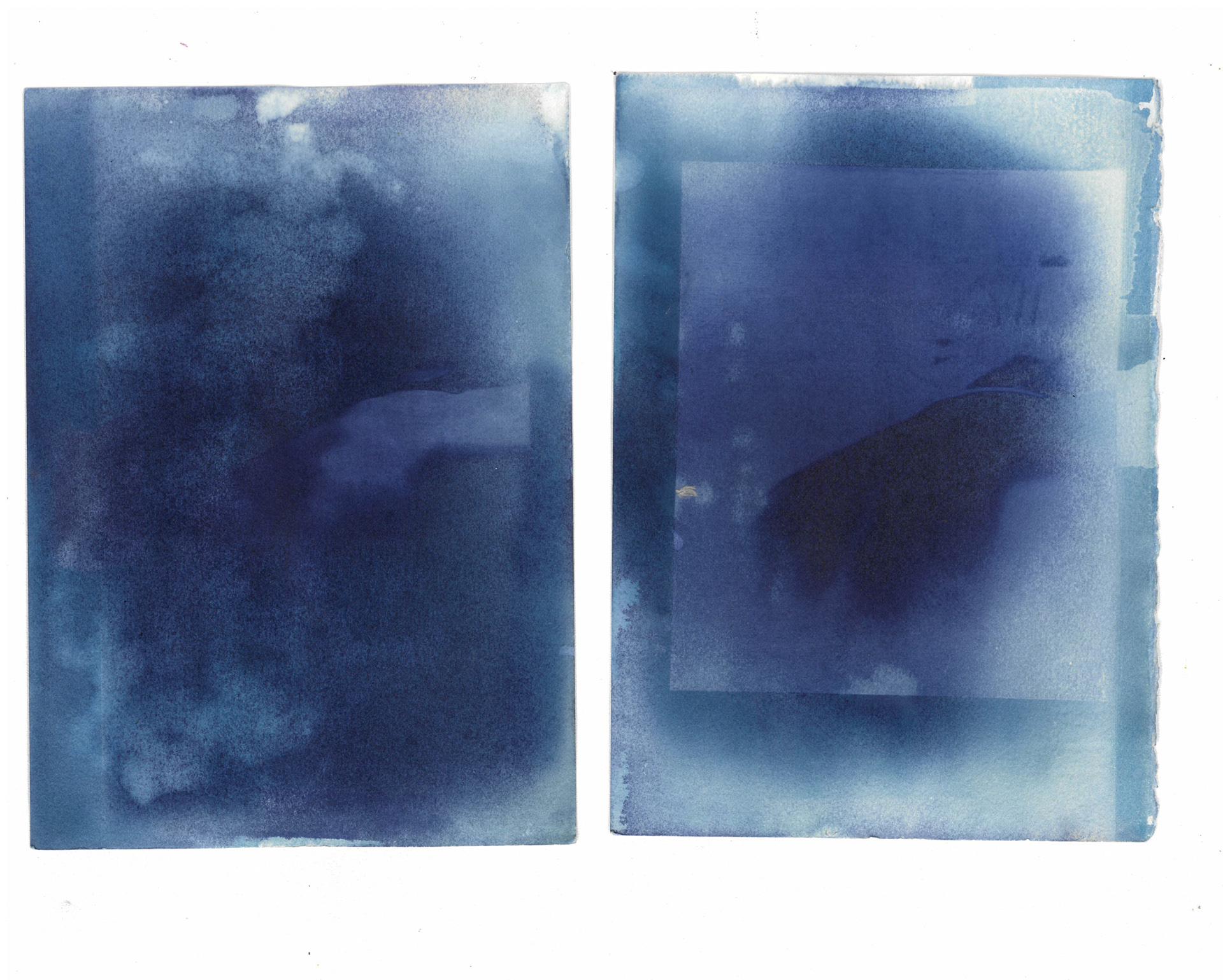 Digital to Cyanotypes
