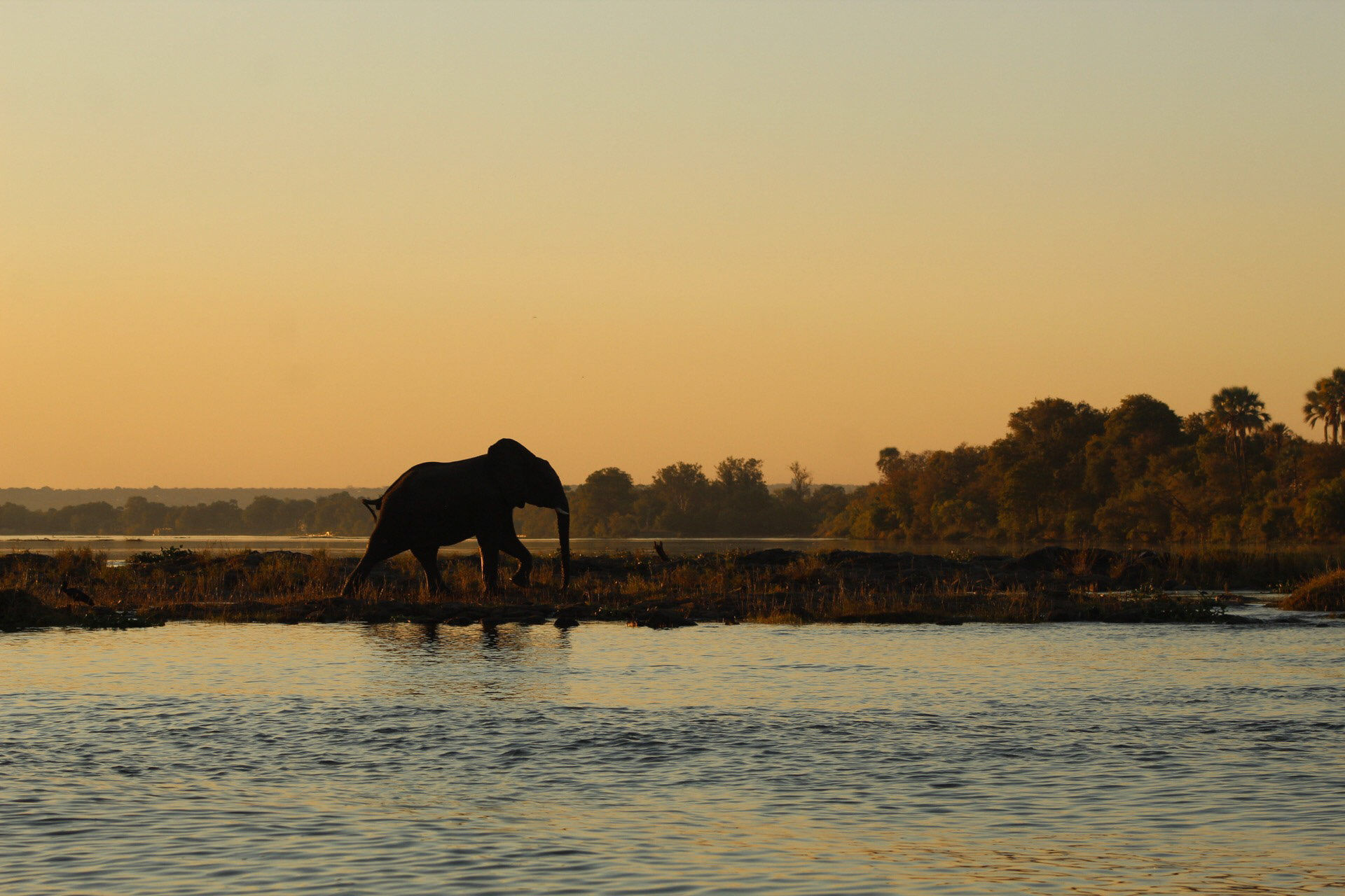 Zambia 23/07/2019