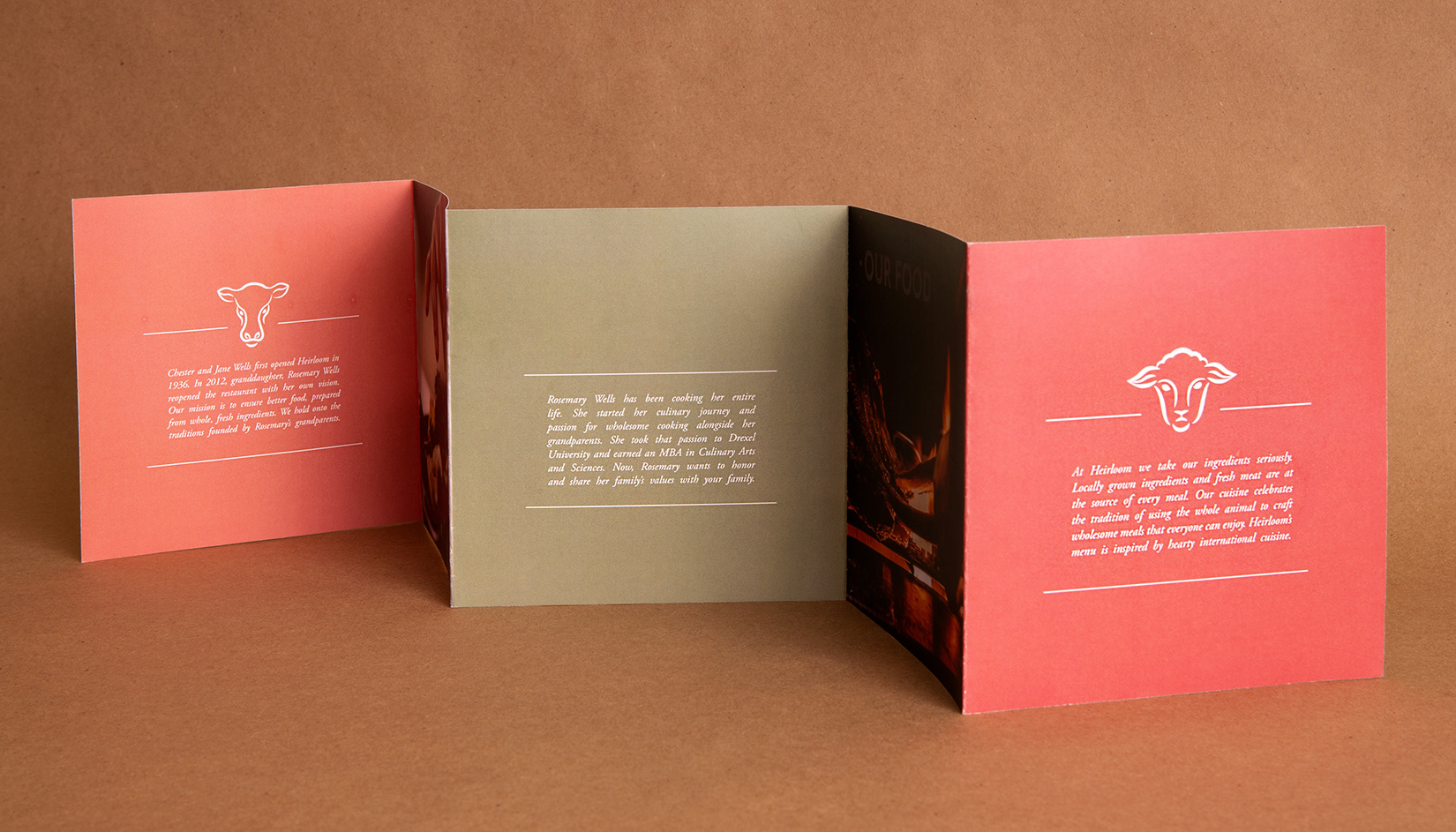 Brochure Back