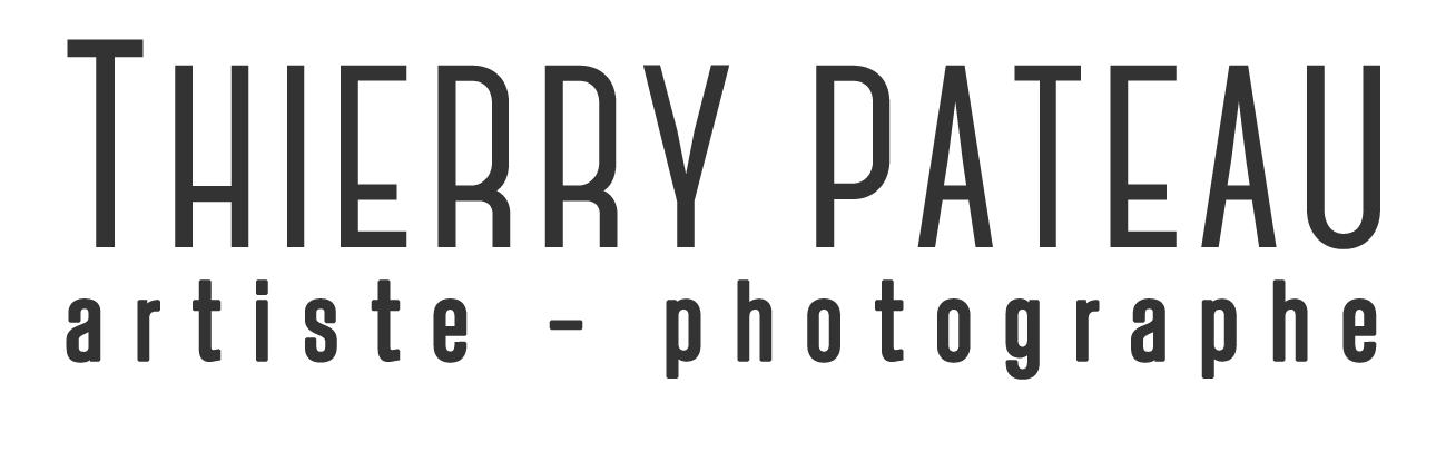 Thierry Pateau