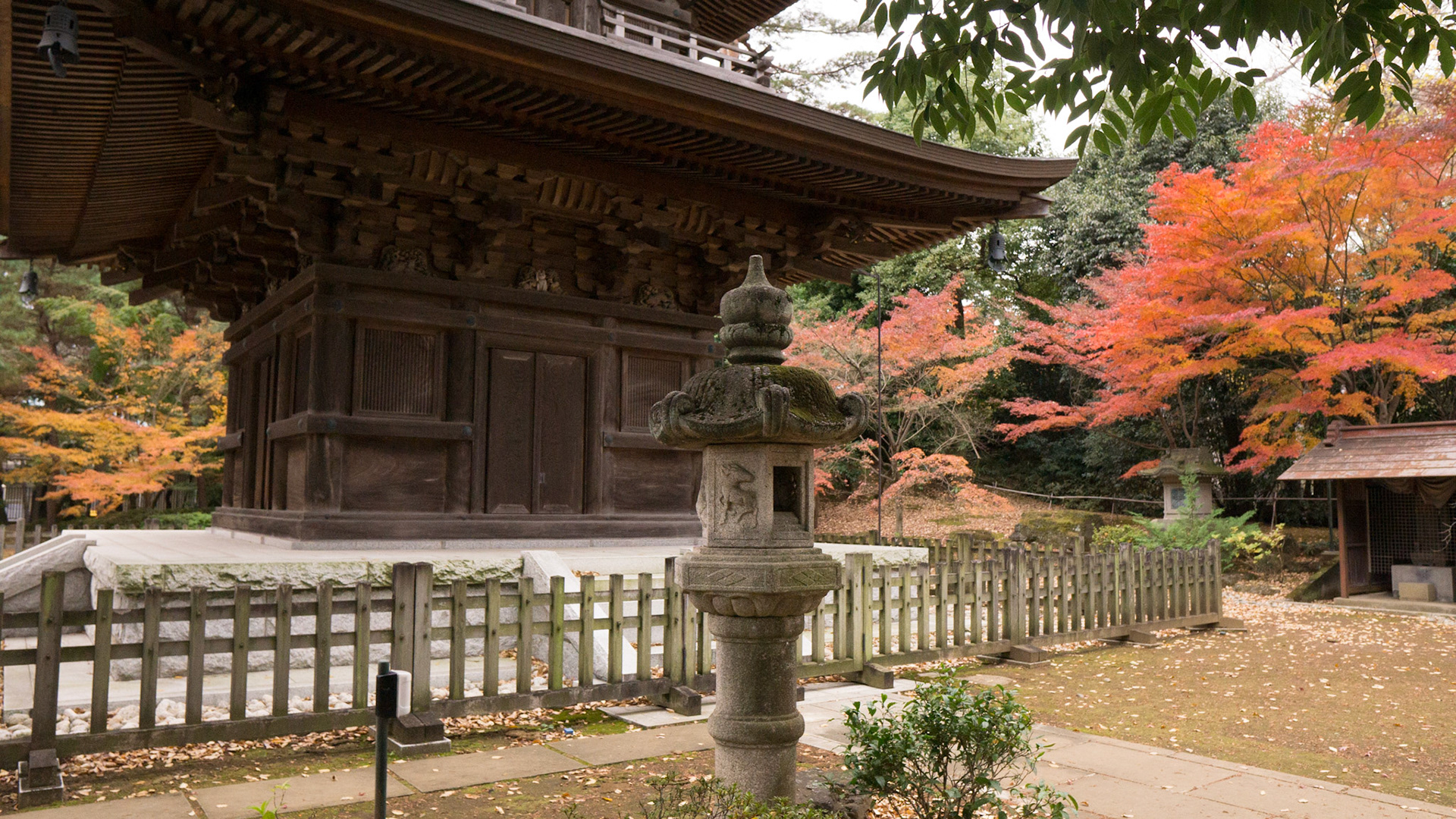 Gotokuji Temple-Tokyo