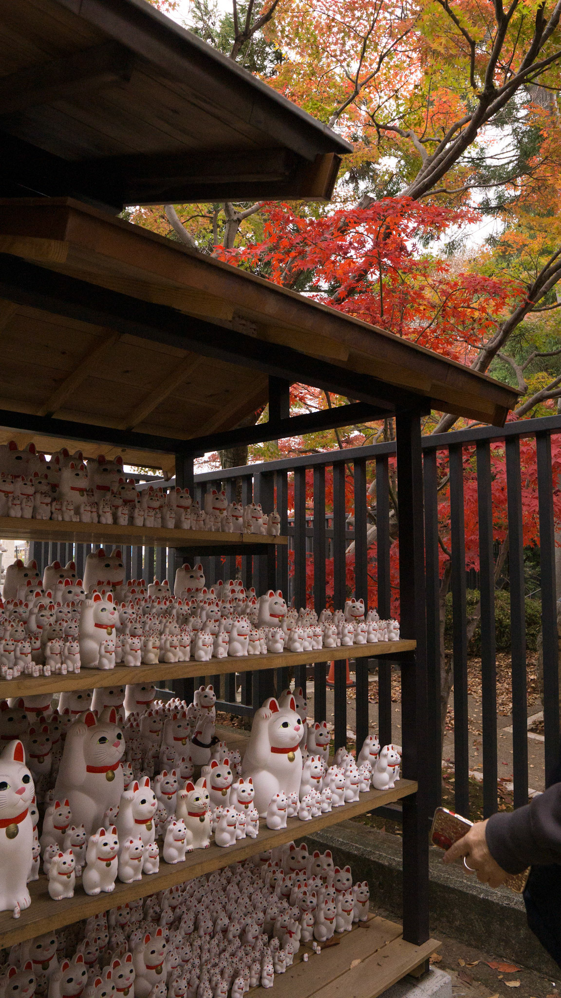Gotokuji Temple-Tokyo