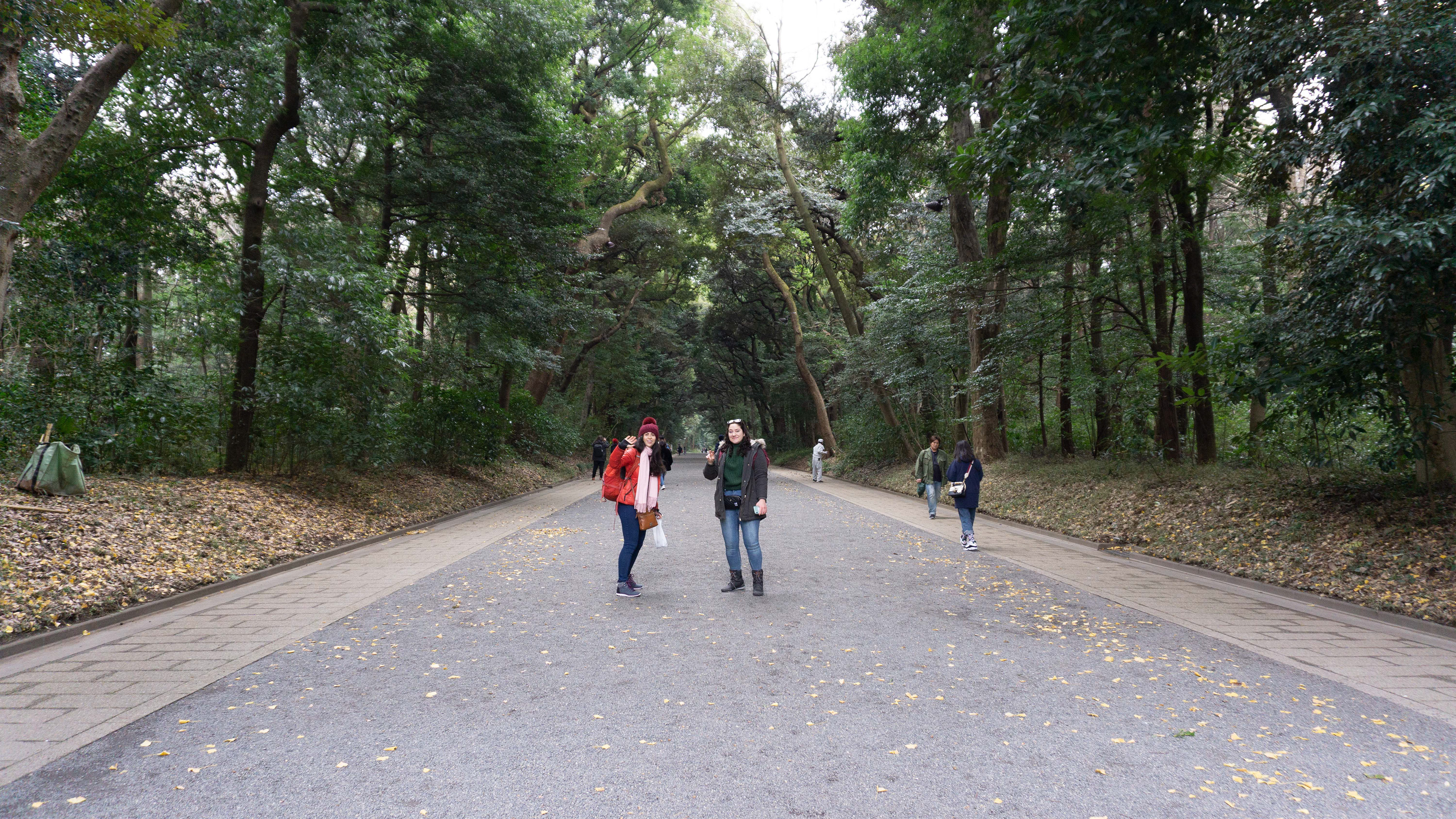 Yoyogi Park