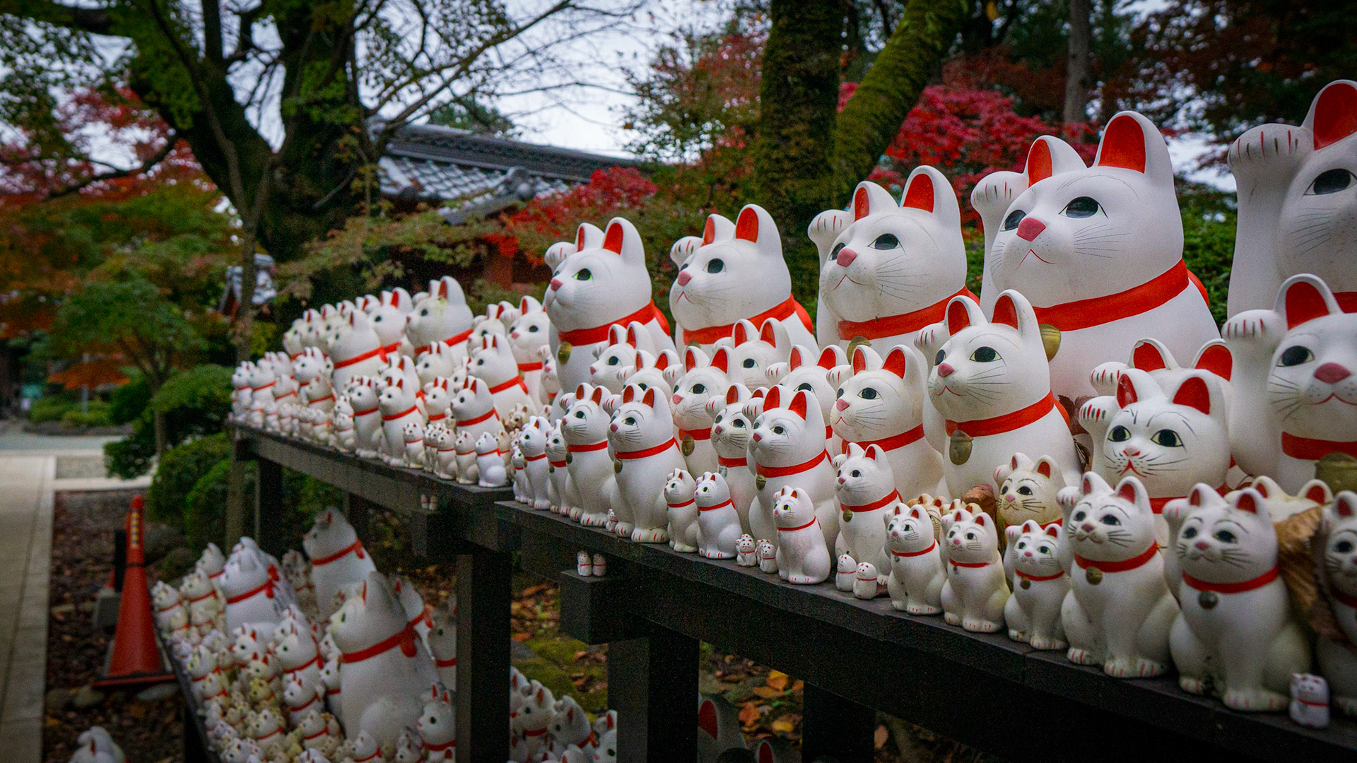 Gotokuji Temple-Tokyo