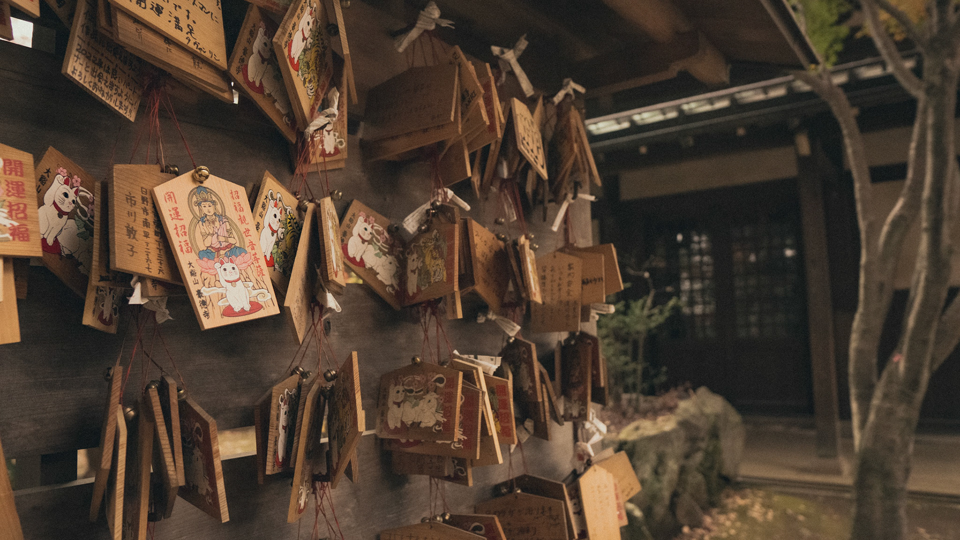 Gotokuji Temple-Tokyo