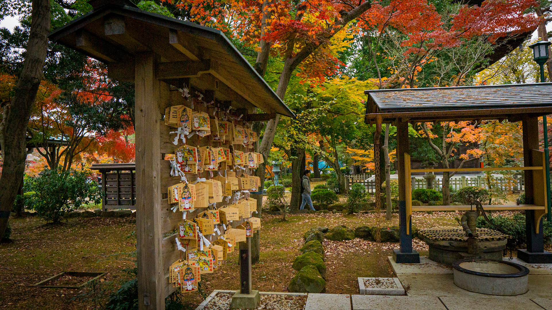 Gotokuji Temple-Tokyo