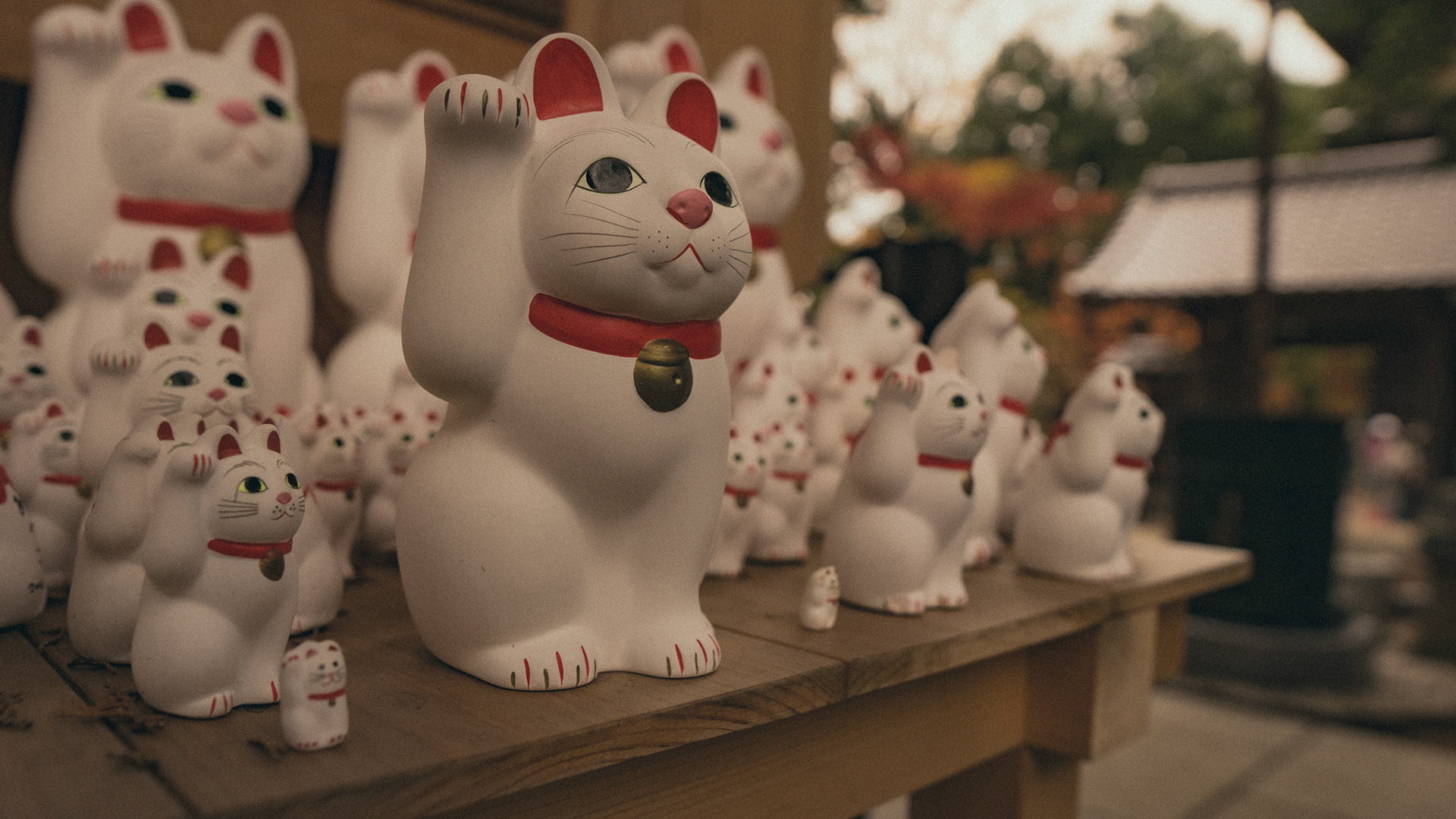 Gotokuji Temple-Tokyo
