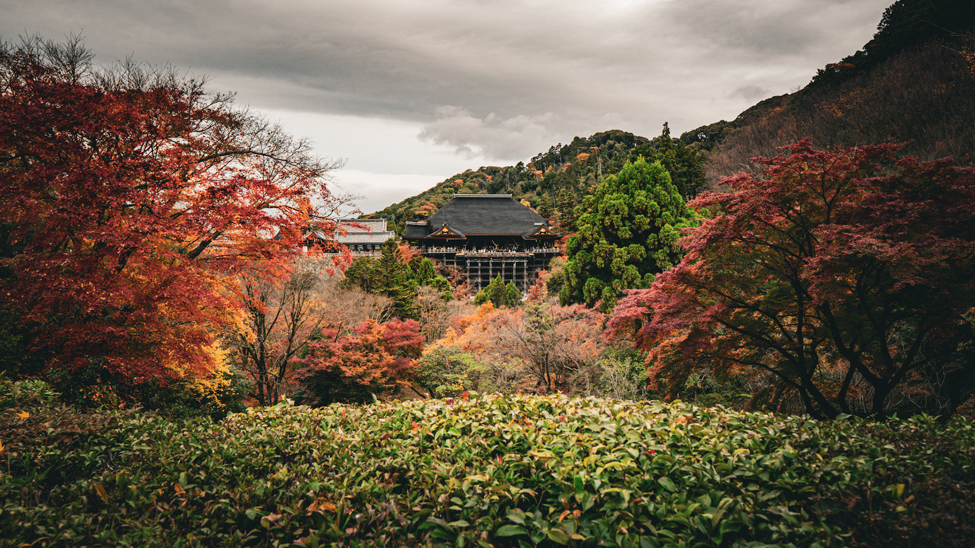 Kiyomizudera
