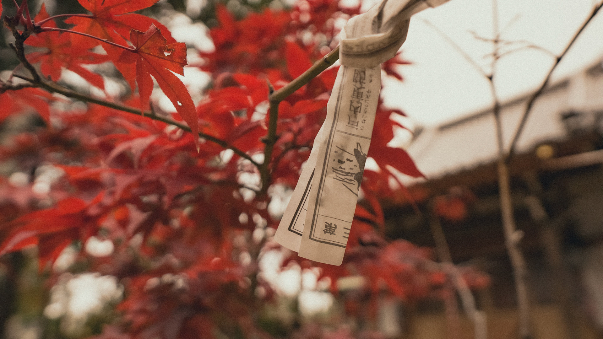 Gotokuji Temple-Tokyo