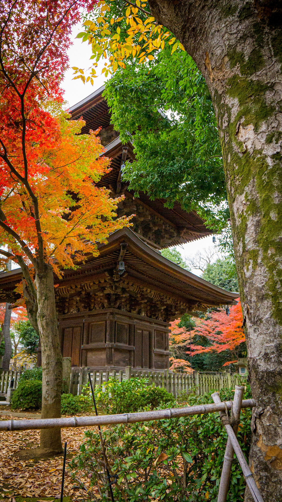 Gotokuji Temple-Tokyo