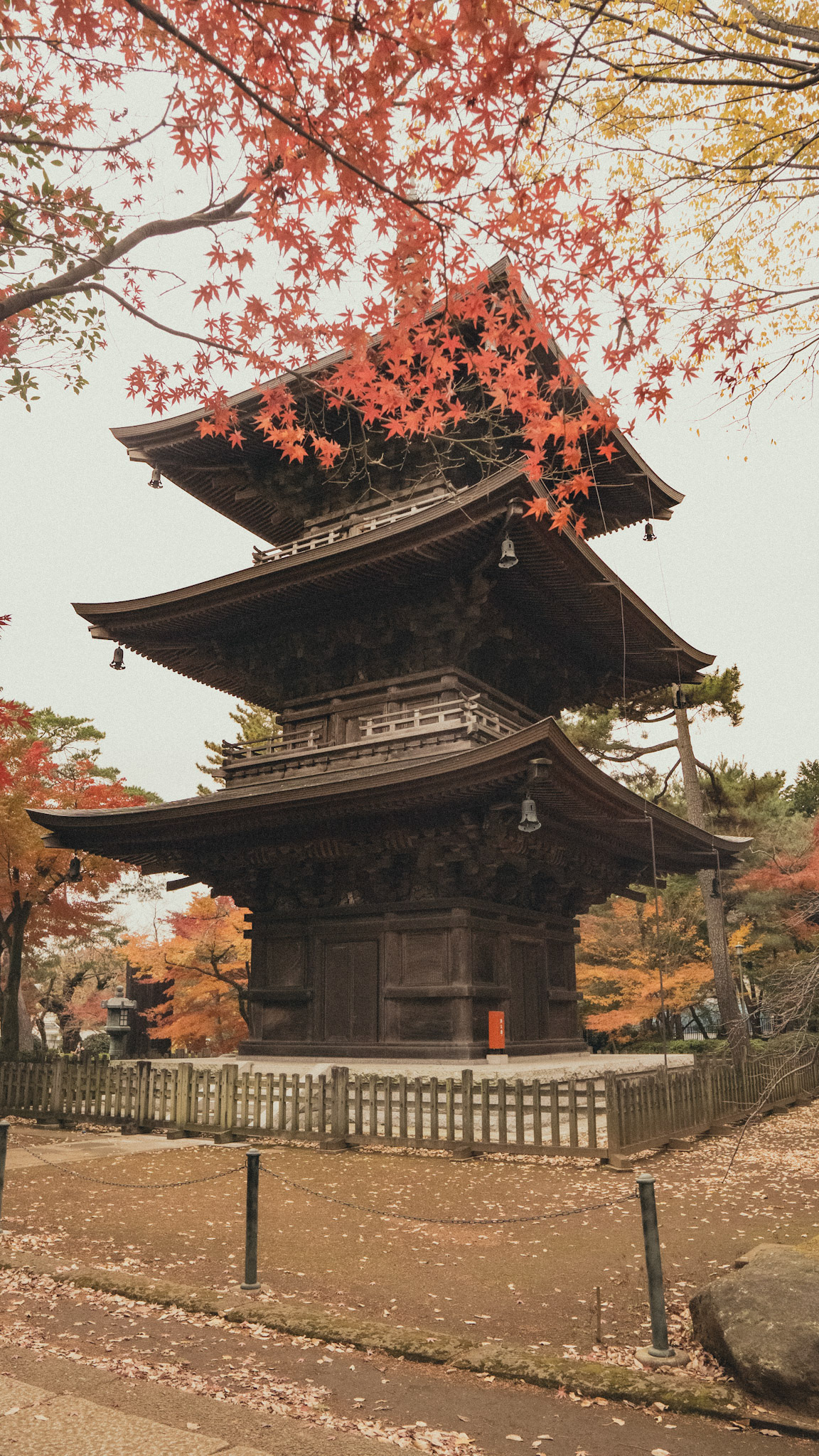 Gotokuji Temple-Tokyo