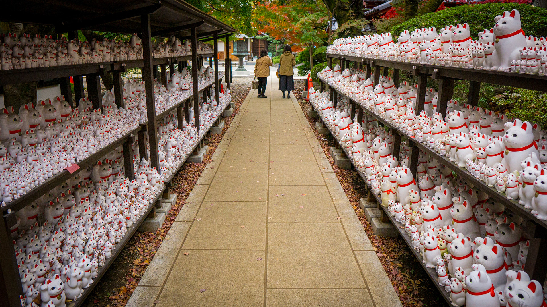 Gotokuji Temple-Tokyo
