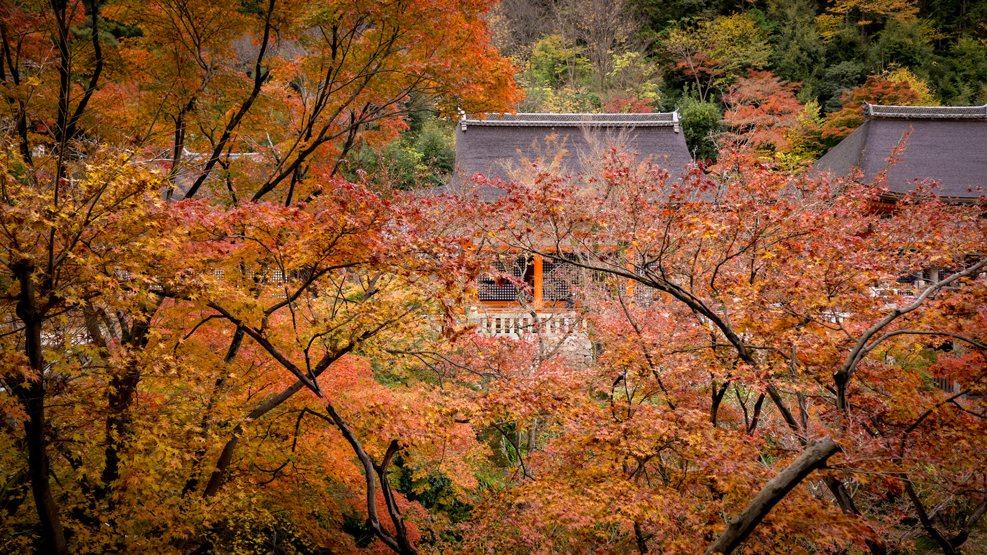Kiyomizudera