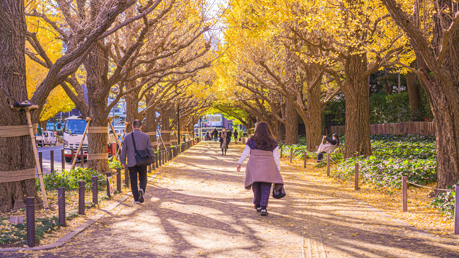 Jingu Gaien Ginko Ave-Tokyo