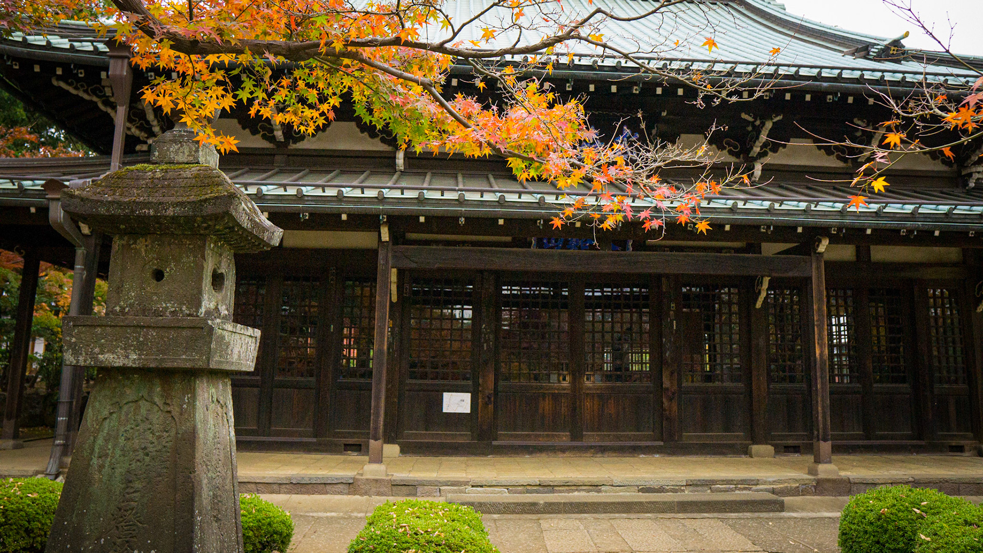 Gotokuji Temple-Tokyo