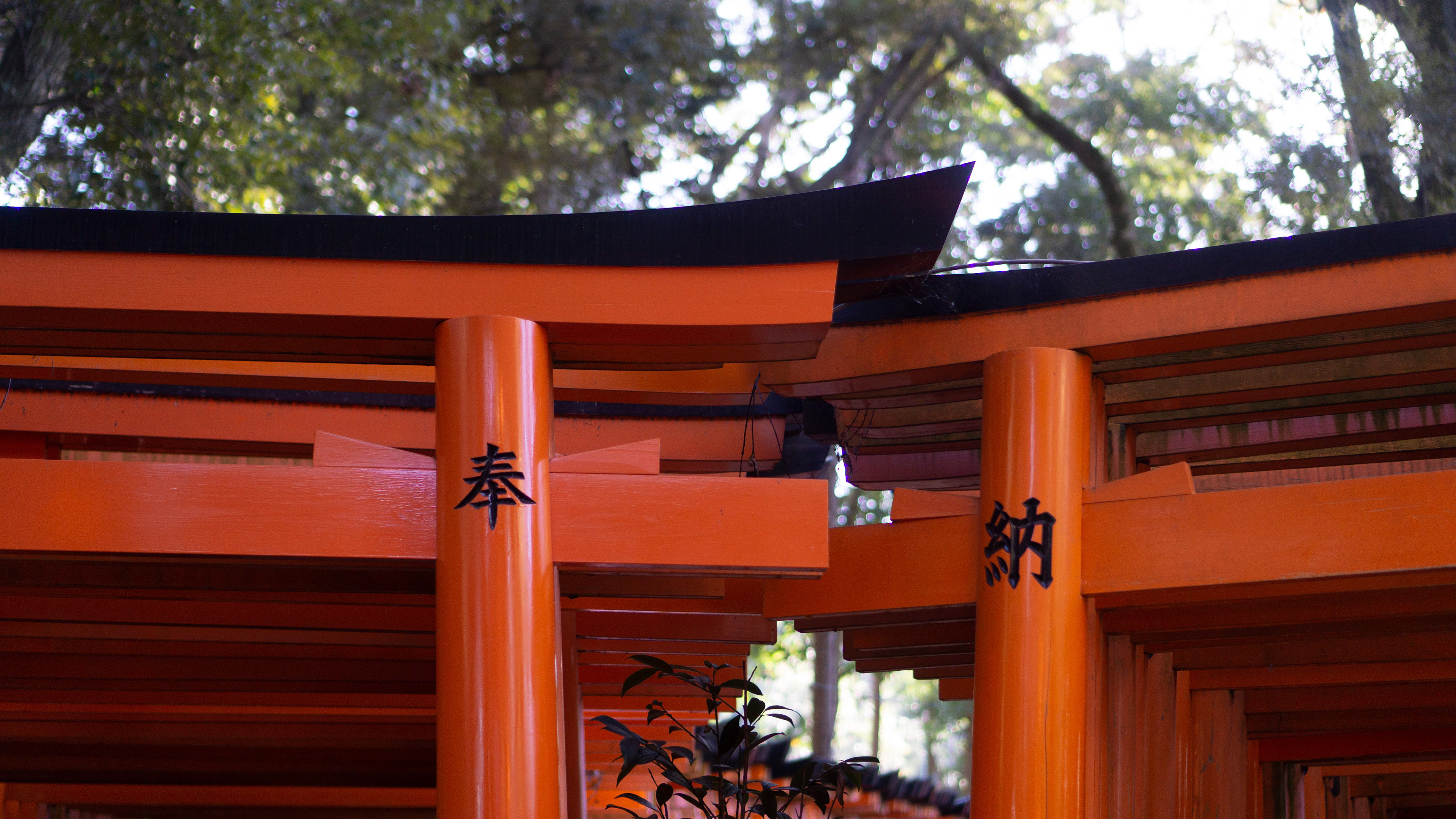 Fushimi Inari