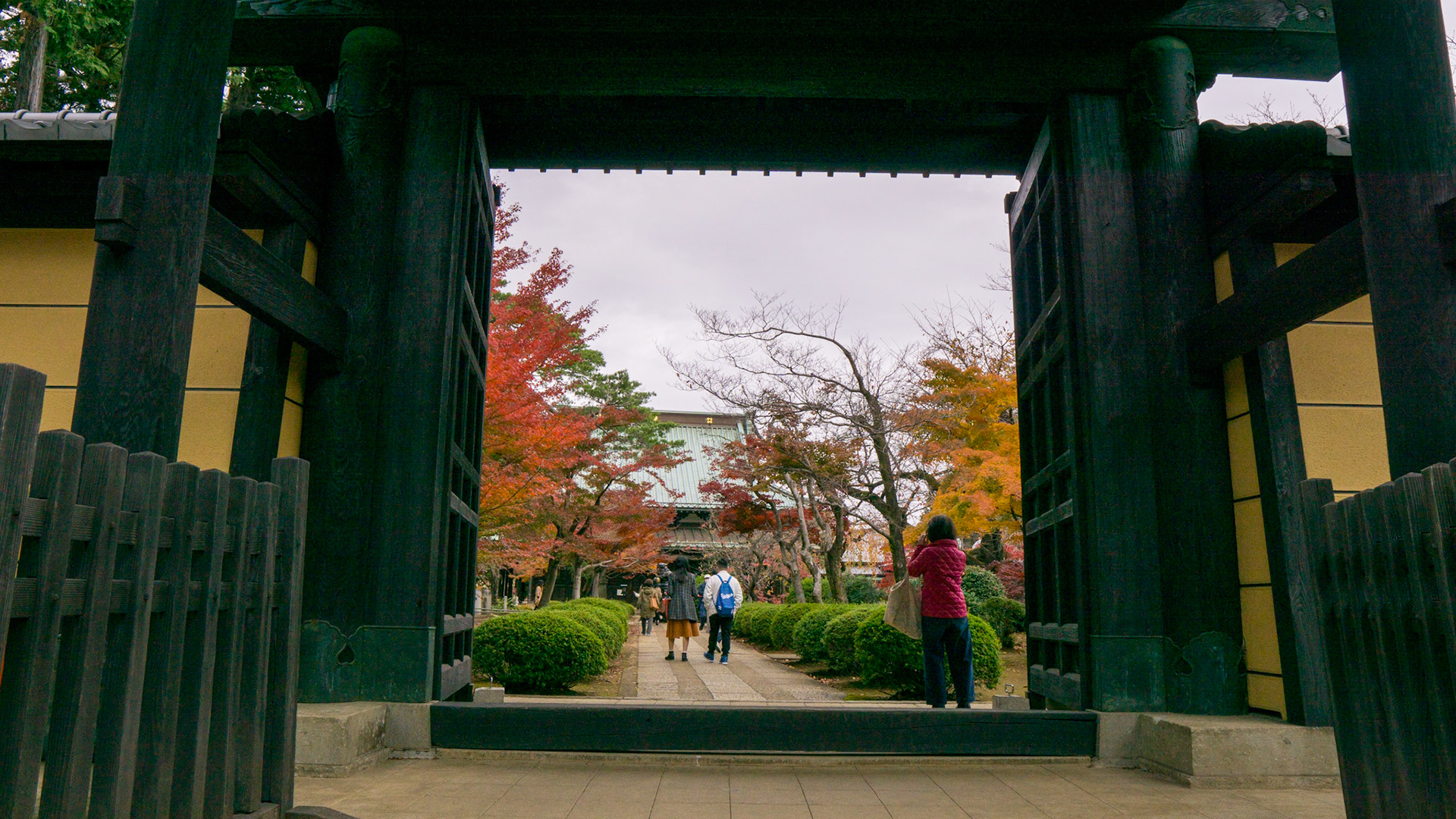 Gotokuji Temple-Tokyo