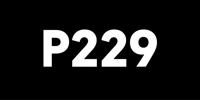 P229