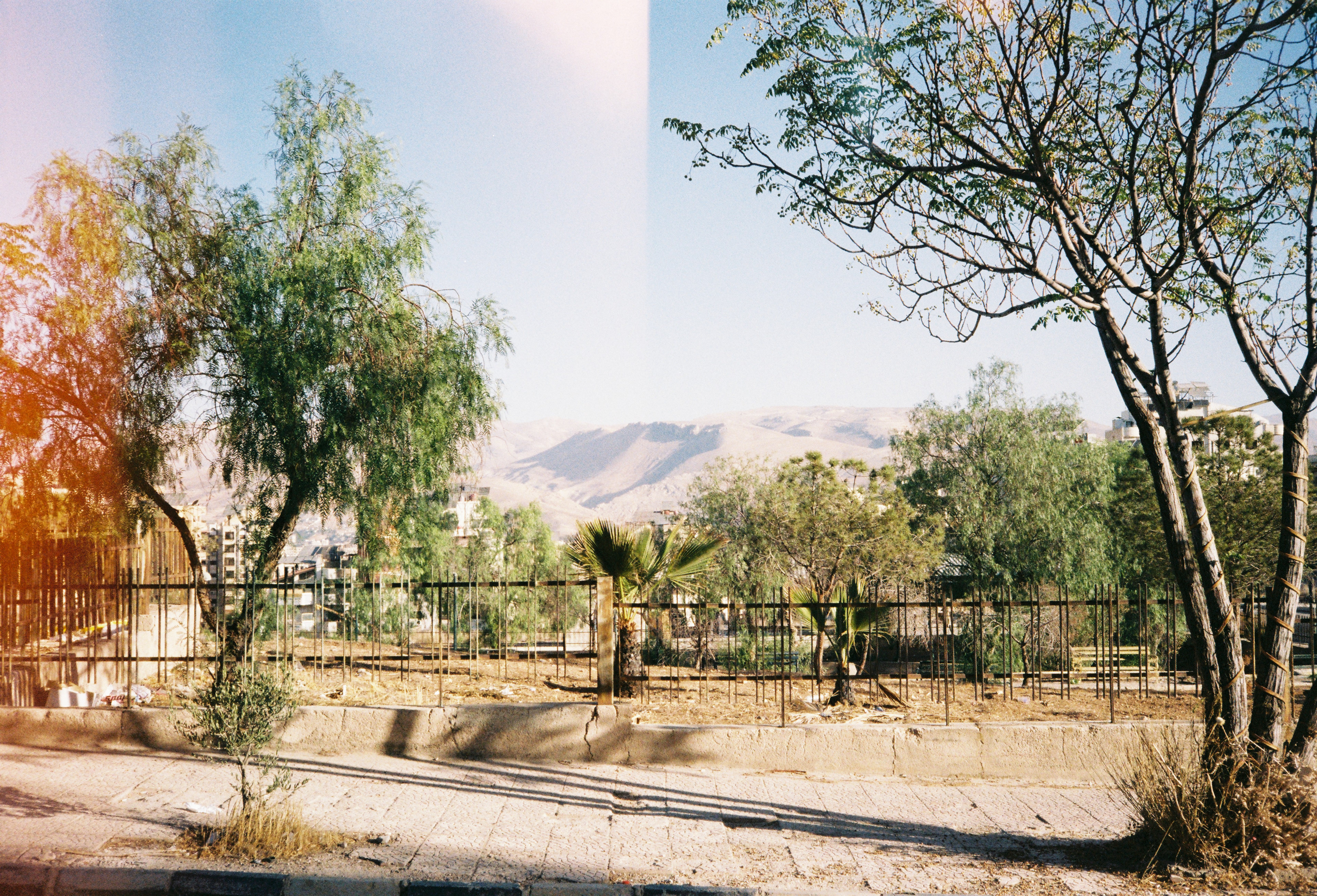 Going on a walk in our neighborhood, Qudsaya