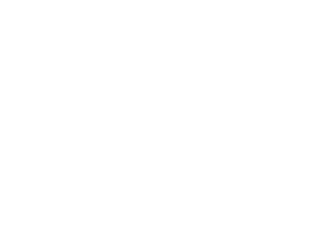 Sandro Ferreira
