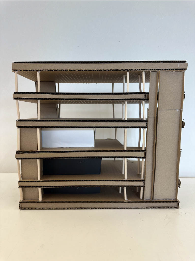 Structural Model Cut Line