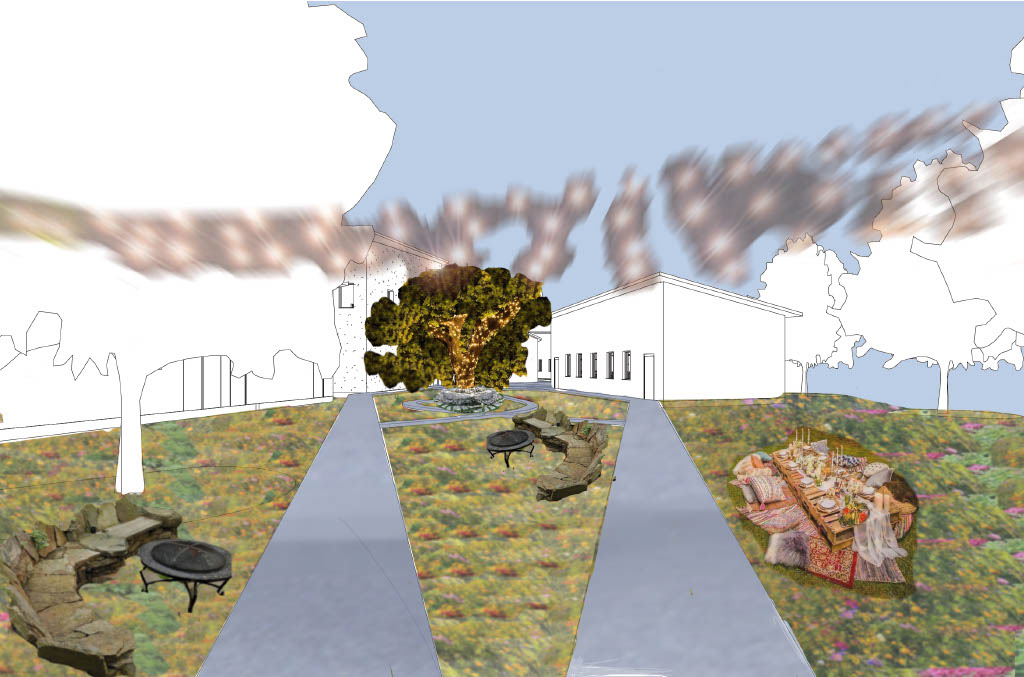 Community Garden Perspective