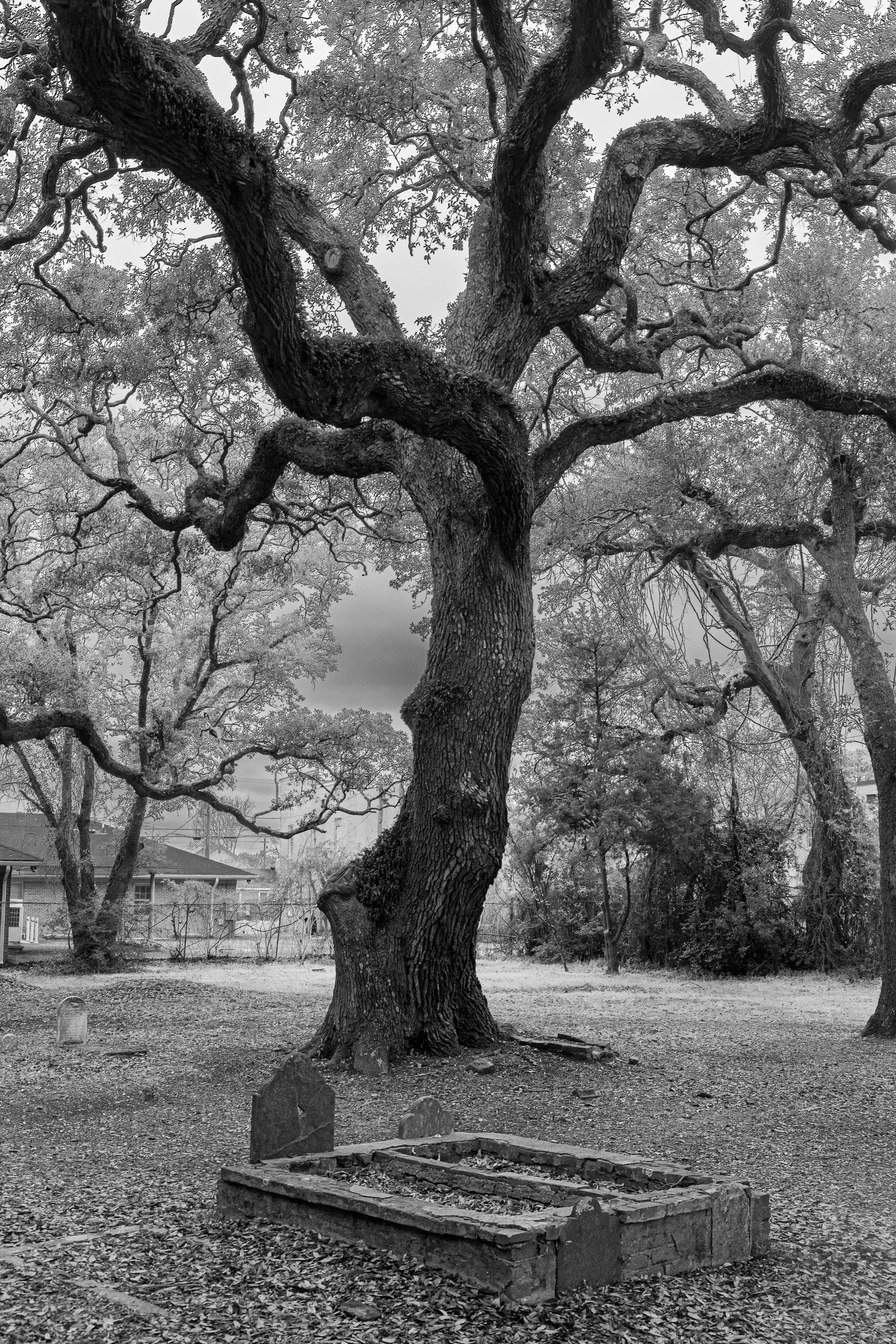 Beaufort, NC (Old Burying Ground)