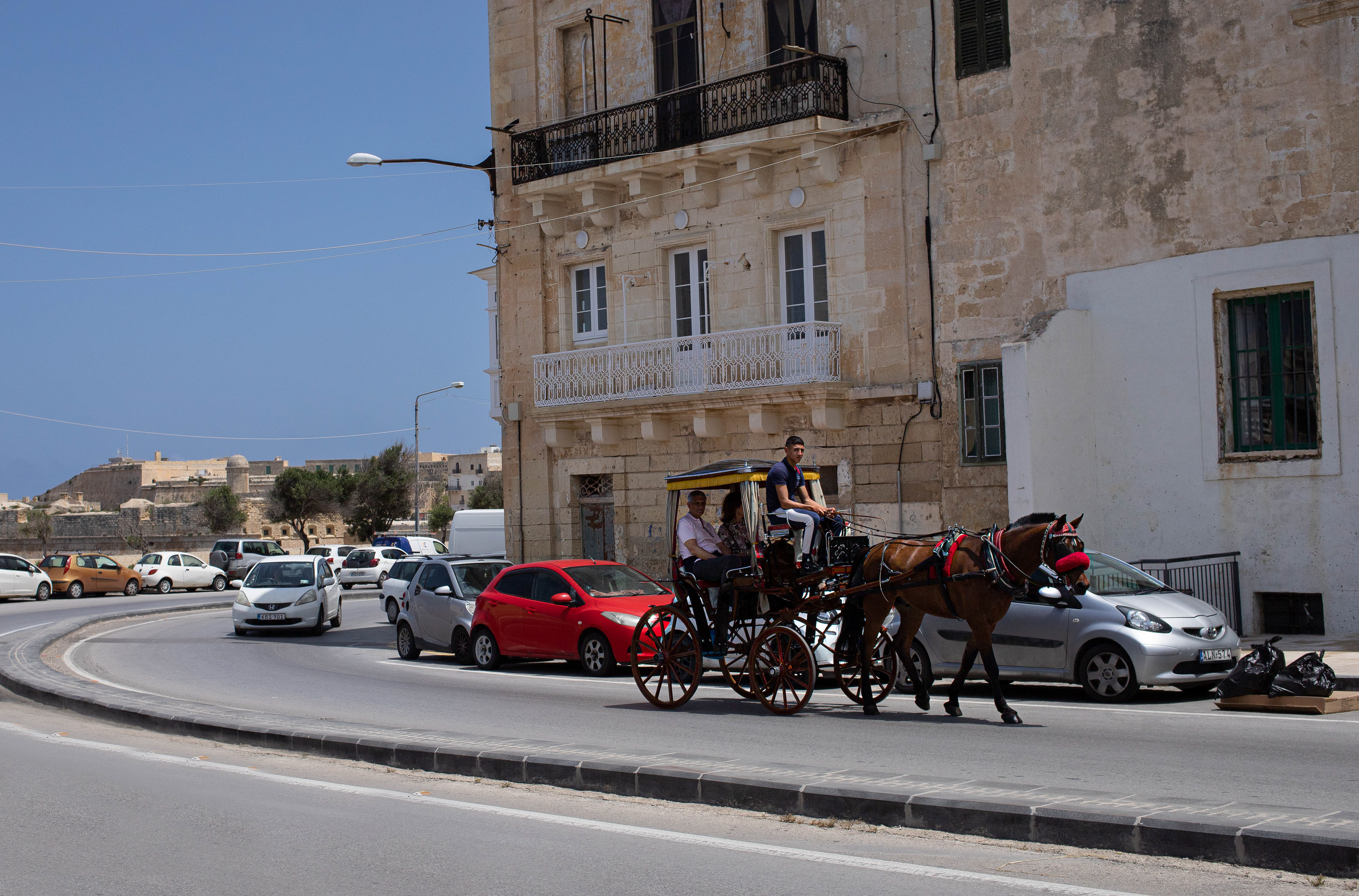 Horse Drawn Carriages