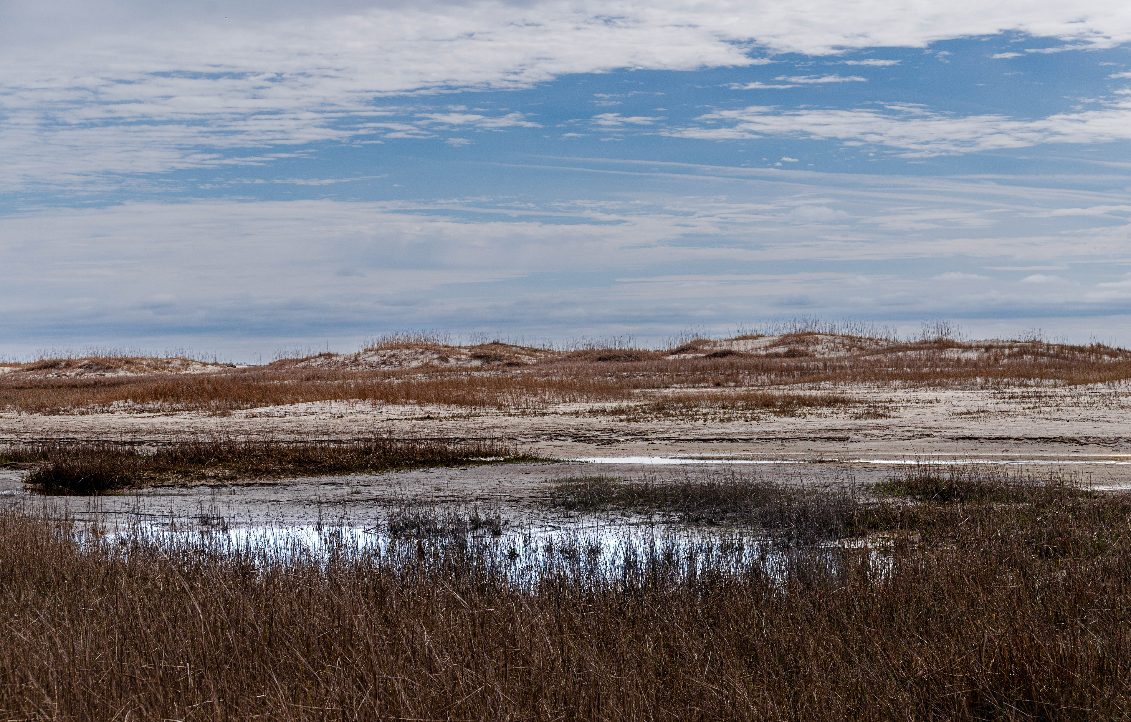 Rachel Carson Reserve, Beaufort, NC