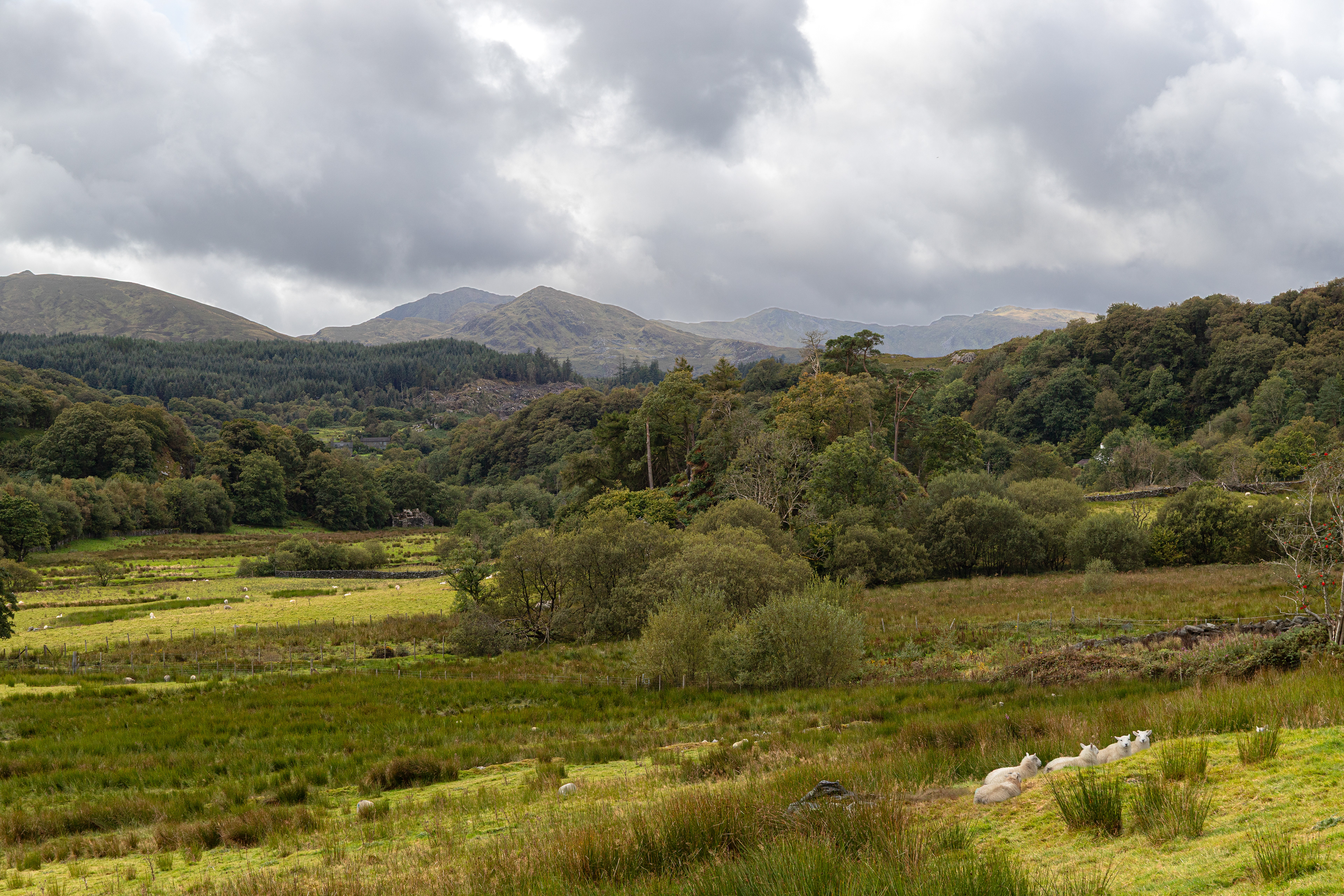 Snowdonia