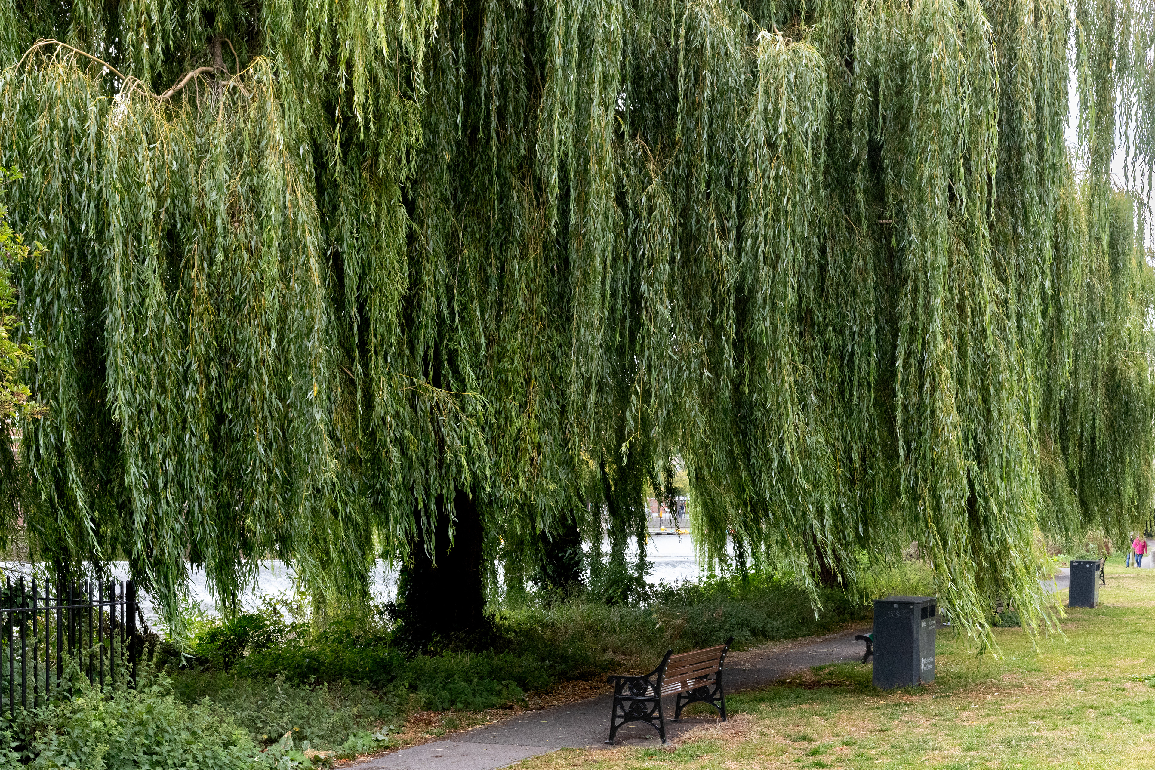 Along the river Dee