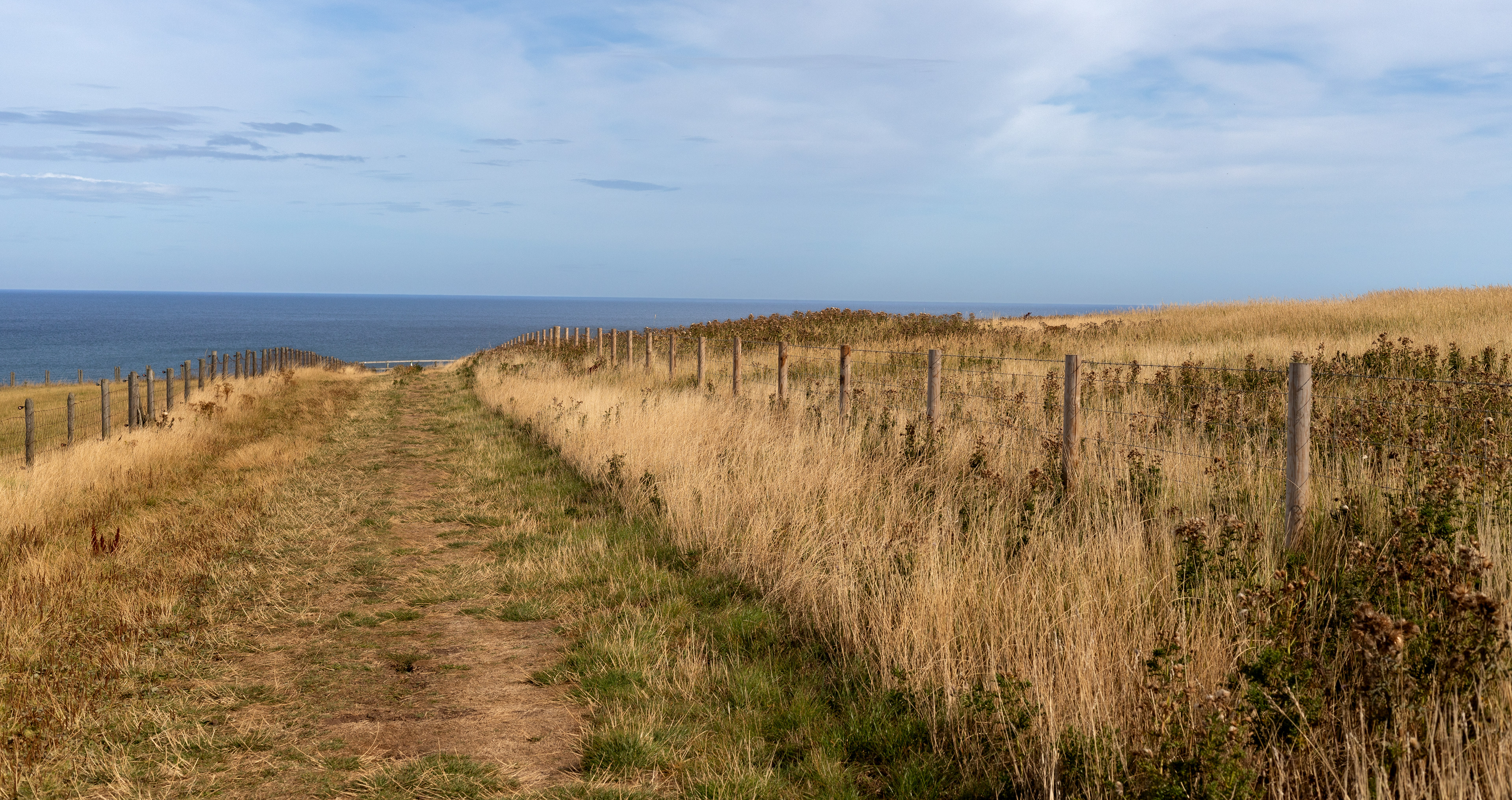 Cliffwalk
