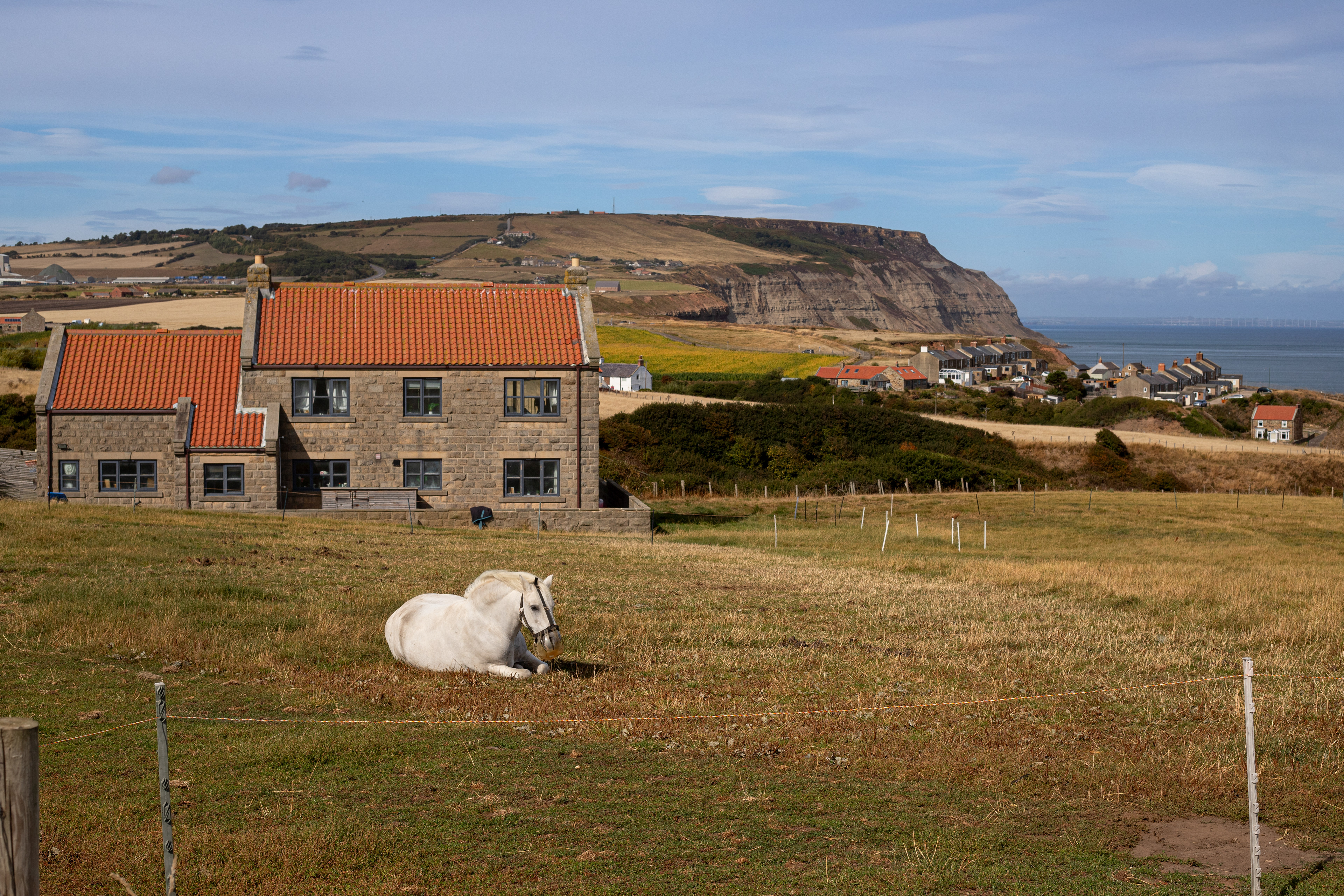 Local pony and farm
